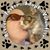 Rachel Wagner's profile image