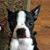 Cindi Spallinger's profile image