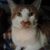 Angela Turner Roberts's profile image