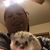 Amber Andrews's profile image