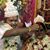 Mrinmaya Bhattacharjee's profile image