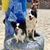 Anne McDonell Etherton's profile image