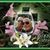 Matthew L Bastian's profile image