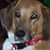 Cindy Reiminger's profile image