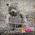 Jackie Breon Pumphrey's profile image