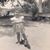 Jackie Graham Sawyer's profile image
