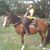 Pat McKenna's profile image
