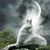 Patricia McCormick's profile image
