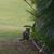 Kim Solin's profile image