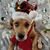 Kim Puetz Vater's profile image