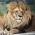 Donna Bass's profile image