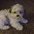 Linda Kegler's profile image