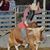 Jacob Begay's profile image