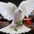 Olga Rivera's profile image