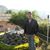 Karan Chaudhary's profile image
