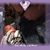 Danielle Kersting's profile image