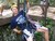 Lance B.'s profile image