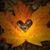 Chuck Cape's profile image