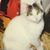 Mike L Greer's profile image