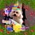 Gavilan Hernandez's profile image