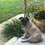 Lisa Bartholow Hafer's profile image
