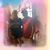 Heather Moen's profile image