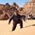 Aref EL Jamal's profile image