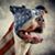 Rich Cowan's profile image