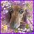 John Hoatson's profile image