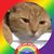 Mary Barnes's profile image