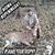 Shane Townsend's profile image