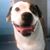 Marcie Maximo-Monroe's profile image