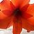 Sheryl Eastman's profile image