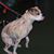 Beverly Tucker's profile image