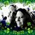 Mindy Irwin's profile image