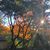 Carol Gilbert McElgunn's profile image