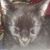 Elvira Shunney Scaff's profile image