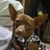Ray Mack's profile image