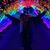Kerry Ann Rondeau's profile image