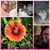 Jessica Ann Remnet's profile image
