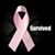 Donna Cummings Clark's profile image