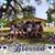 Sharon Van de Plas's profile image