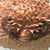 Rebecca Polain's profile image