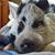 Jamie Wickline's profile image