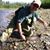Timothy J. DiPaolo's profile image