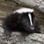 Maria Ellis's profile image