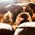 Jamie Spence-Linhart's profile image