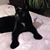Mary Barnette's profile image