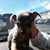 Whitney Saltsman's profile image