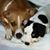 Yvonne Bundy's profile image
